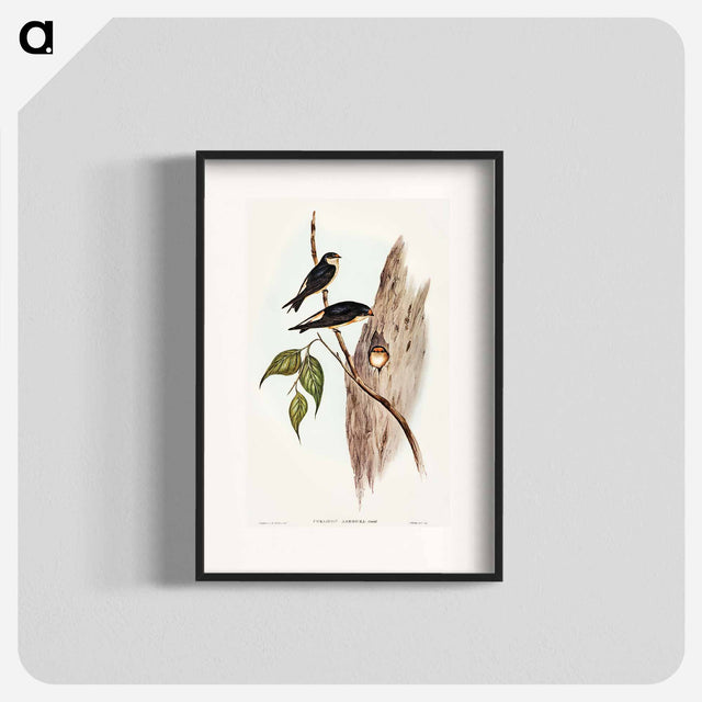 アートポスター-Tree Martin
 - オーストラリアの鳥 Poster.
