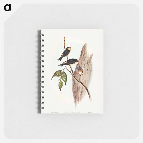 アートメモ帳-Tree Martin
 - オーストラリアの鳥 Memo.