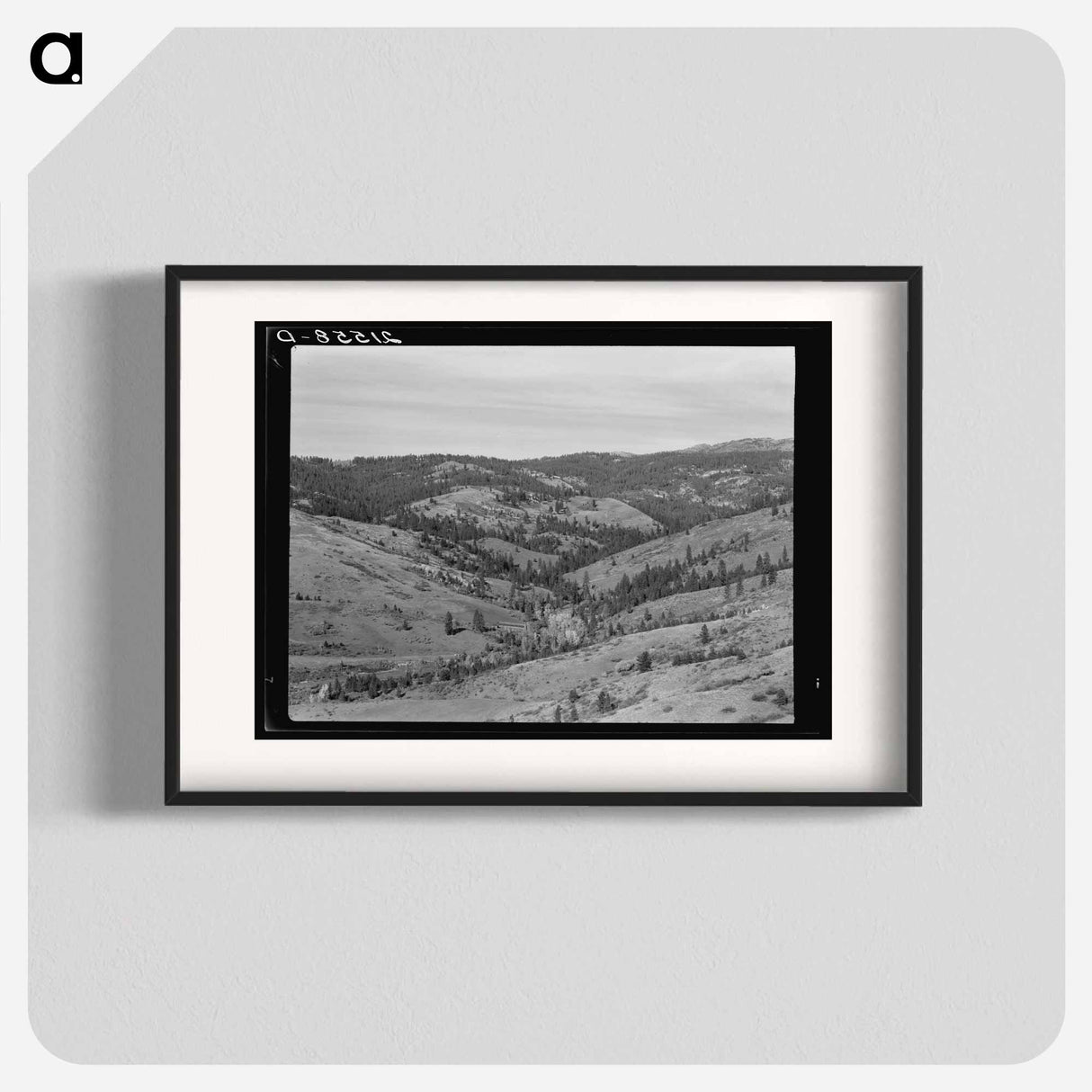 Untitled photo, possibly related to: Upper end of Squaw Creek Valley near the mill, showing part of the timber resources. Ola self-help sawmill co-op. Gem County, Idaho. General caption 48 - Dorothea Lange Poster.