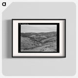 Untitled photo, possibly related to: Upper end of Squaw Creek Valley near the mill, showing part of the timber resources. Ola self-help sawmill co-op. Gem County, Idaho. General caption 48 - ドロテア ラング Poster.