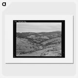 Untitled photo, possibly related to: Upper end of Squaw Creek Valley near the mill, showing part of the timber resources. Ola self-help sawmill co-op. Gem County, Idaho. General caption 48 - Dorothea Lange Poster.