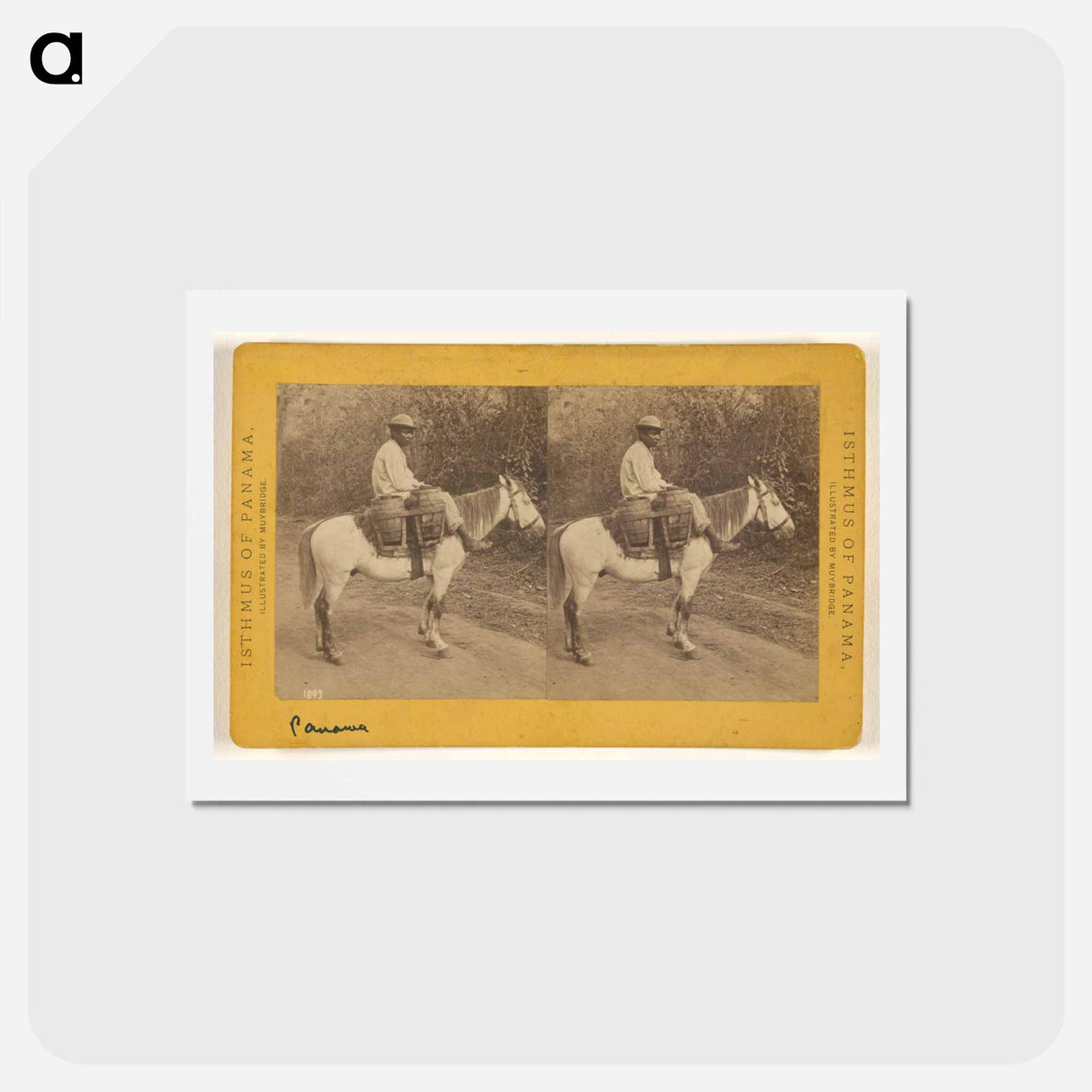 アートポストカード-Water Carrier
 - エドワード マイブリッジ Postcard.