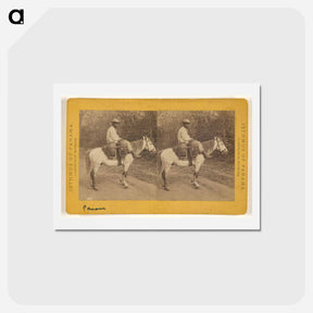 アートポストカード-Water Carrier
 - エドワード マイブリッジ Postcard.