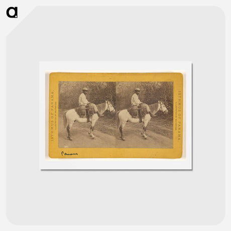 アートポストカード-Water Carrier
 - エドワード マイブリッジ Postcard.