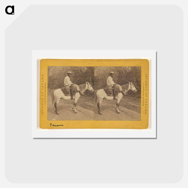 アートポストカード-Water Carrier
 - エドワード マイブリッジ Postcard.