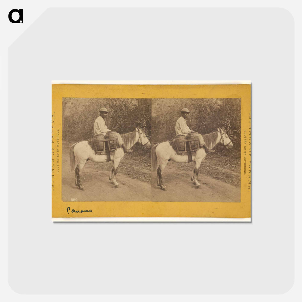 アートポストカード-Water Carrier
 - エドワード マイブリッジ Postcard.