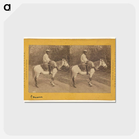 アートポストカード-Water Carrier
 - エドワード マイブリッジ Postcard.