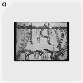 アートポストカード-Grapefruit Canning Parts
 - ラッセル リー Postcard.