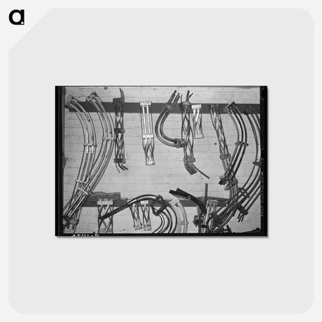 アートポストカード-Grapefruit Canning Parts
 - ラッセル リー Postcard.
