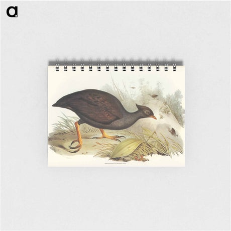 アートメモ帳-Mound-raising Megapode
 - オーストラリアの鳥 Memo.