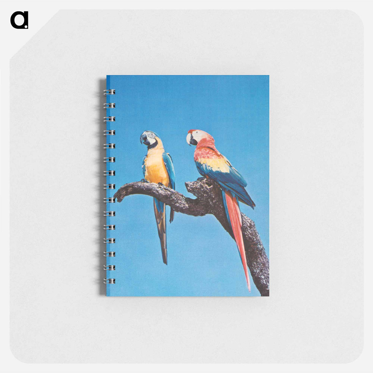 アートメモ帳-Florida Macaws
 - ボストン公共図書館 Memo.