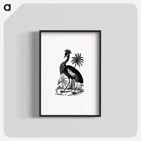 アートポスター-Crowned Crane of South Africa
 - 大英図書館 Poster.