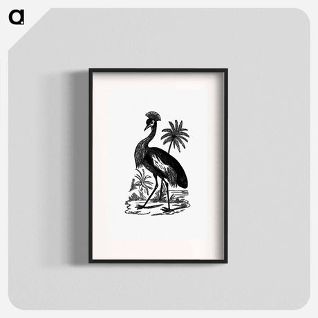 アートポスター-Crowned Crane of South Africa
 - 大英図書館 Poster.