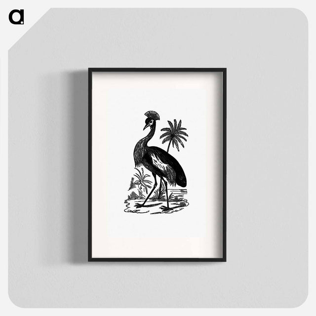 アートポスター-Crowned Crane of South Africa
 - 大英図書館 Poster.