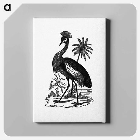 アートパネル-Crowned Crane of South Africa
 - 大英図書館 Canvas.