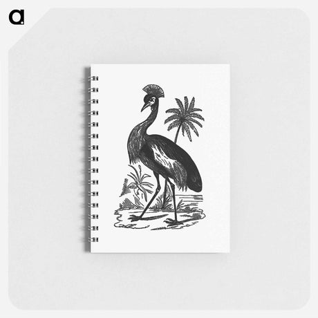 アートメモ帳-Crowned Crane of South Africa
 - 大英図書館 Memo.