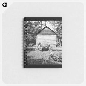 アートメモ帳-Young son of tenant farmer gathering sticks for workers to string tobacco on - ドロテア ラング Memo.