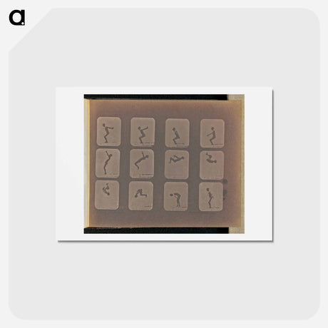 アートポストカード-Back Somersault
 - エドワード マイブリッジ Postcard.