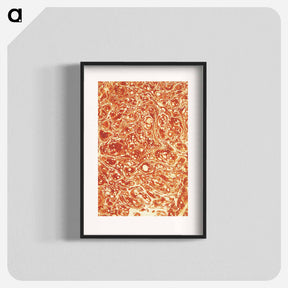 アートポスター-Decorative Paper from The History of Scotland
 - 大英図書館 Poster.