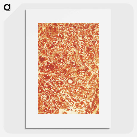 アートポスター-Decorative Paper from The History of Scotland
 - 大英図書館 Poster.