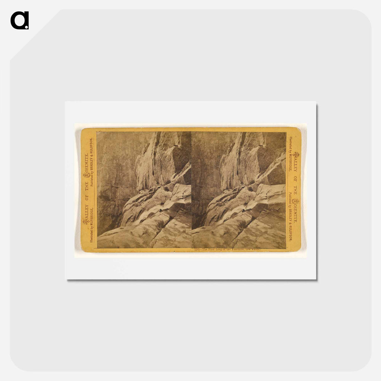アートポストカード-The First Leap of the Yosemite
 - エドワード マイブリッジ Postcard.