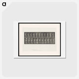 アートポストカード-Walking Figure with Spinal Curvature
 - エドワード マイブリッジ Postcard.