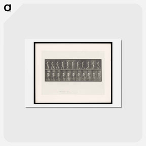 アートポストカード-Walking Figure with Spinal Curvature
 - エドワード マイブリッジ Postcard.