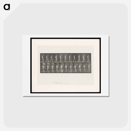 アートポストカード-Walking Figure with Spinal Curvature
 - エドワード マイブリッジ Postcard.