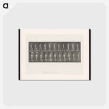 アートポストカード-Walking Figure with Spinal Curvature
 - エドワード マイブリッジ Postcard.