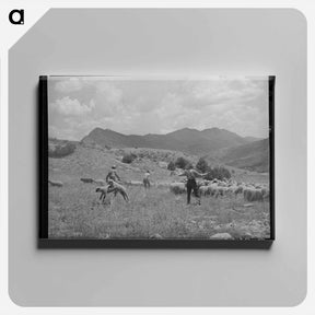 アートパネル-Southeast Missouri Farms Project
 - ラッセル リー Canvas.