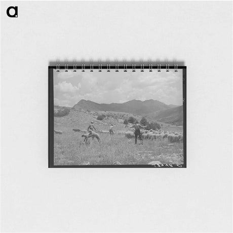 アートメモ帳-Southeast Missouri Farms Project
 - ラッセル リー Memo.