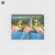 アートメモ帳-Florida Flamingos
 - ボストン公共図書館 Memo.