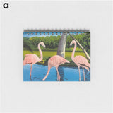 アートメモ帳-Florida Flamingos
 - ボストン公共図書館 Memo.