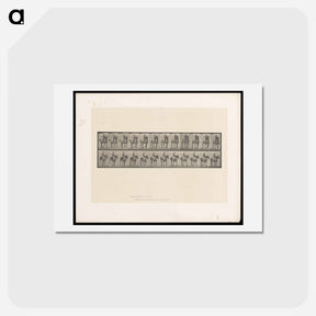 アートポストカード-Bareback Rider
 - エドワード マイブリッジ Postcard.