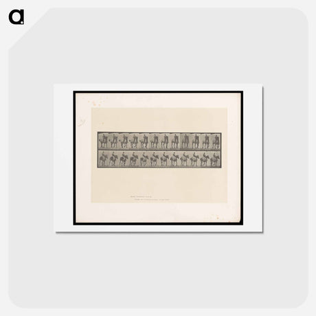 アートポストカード-Bareback Rider
 - エドワード マイブリッジ Postcard.