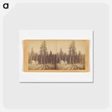 アートポストカード-The Sentinels
 - エドワード マイブリッジ Postcard.