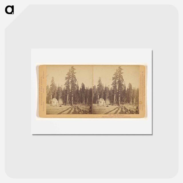アートポストカード-The Sentinels
 - エドワード マイブリッジ Postcard.