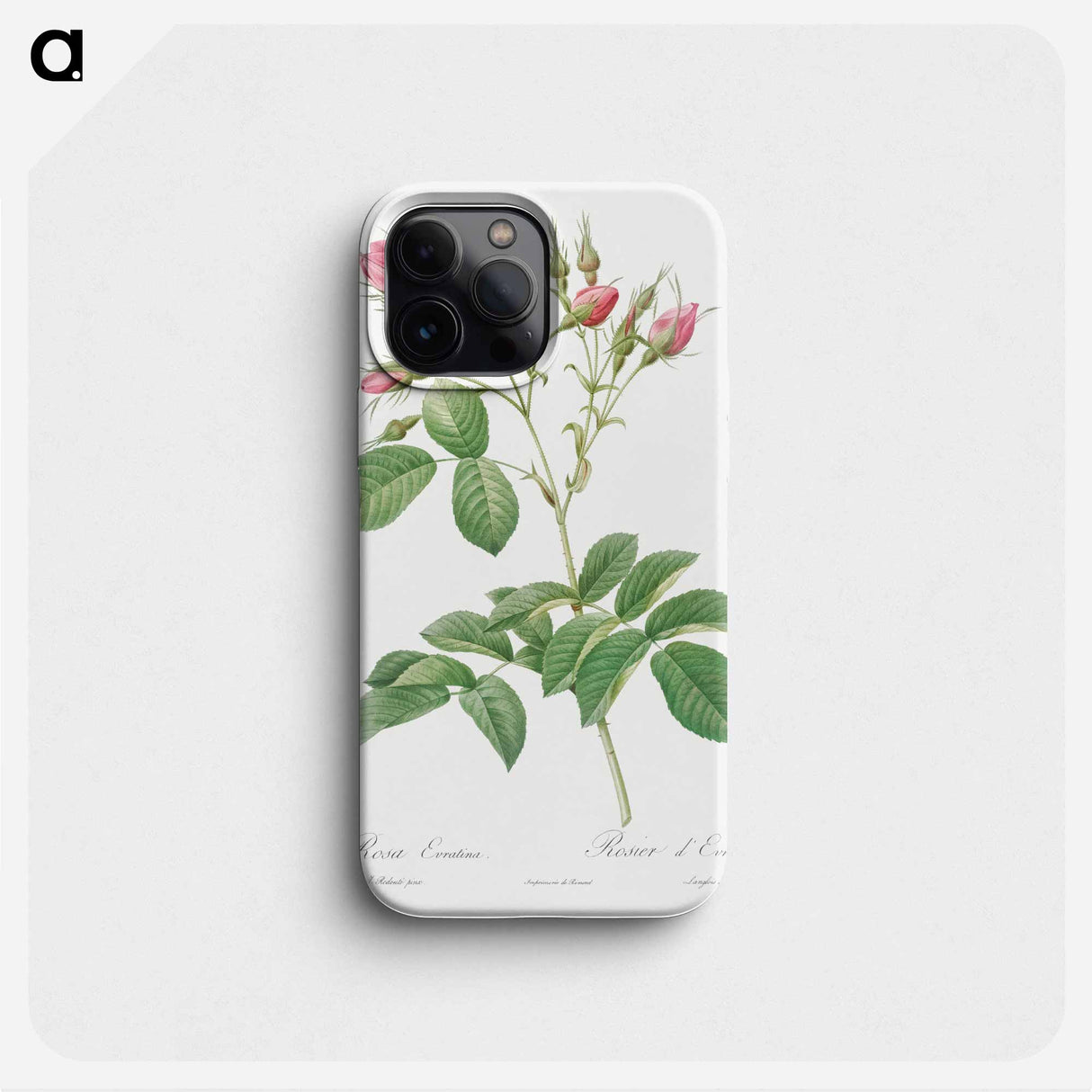 Evrat's Rose with Crimson Buds - Pierre Joseph Redouté Phone Case.