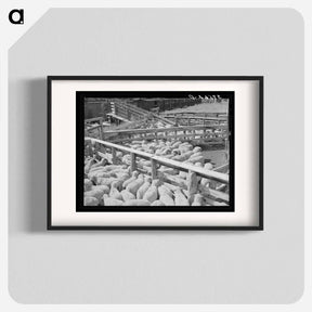アートポスター-Fat Lambs in Shipping Pens
 - ラッセル リー Poster.