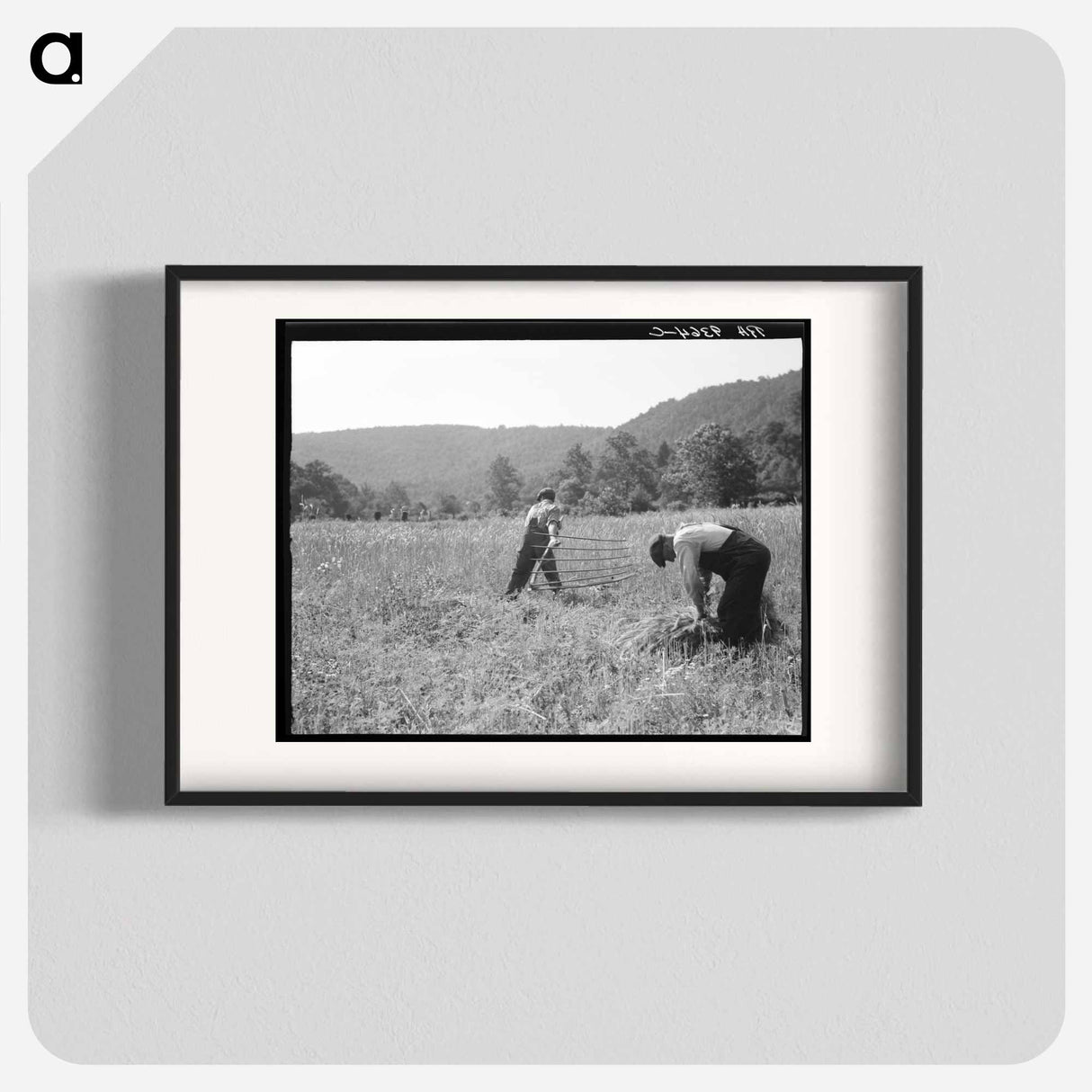 Untitled photo, possibly related to: Men cradling wheat in eastern Virginia near Sperryville - ドロテア ラング Poster.