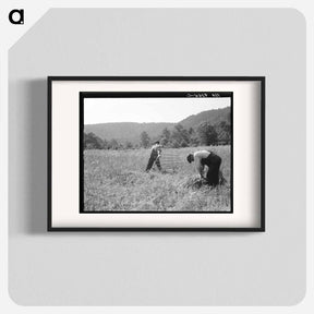 アートポスター-Untitled photo, possibly related to: Men cradling wheat in eastern Virginia near Sperryville - ドロテア ラング Poster.