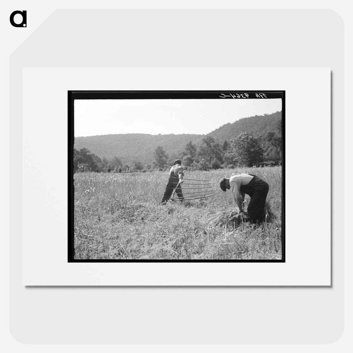 Untitled photo, possibly related to: Men cradling wheat in eastern Virginia near Sperryville - ドロテア ラング Poster.