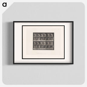 アートポスター-Man Catching and Throwing
 - エドワード マイブリッジ Poster.