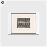 アートポストカード-Man Catching and Throwing
 - エドワード マイブリッジ Postcard.