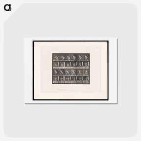 アートポストカード-Man Catching and Throwing
 - エドワード マイブリッジ Postcard.