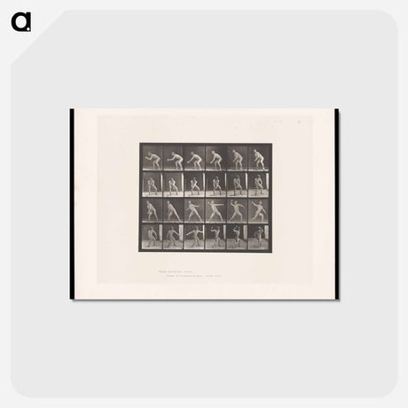 アートポストカード-Man Catching and Throwing
 - エドワード マイブリッジ Postcard.