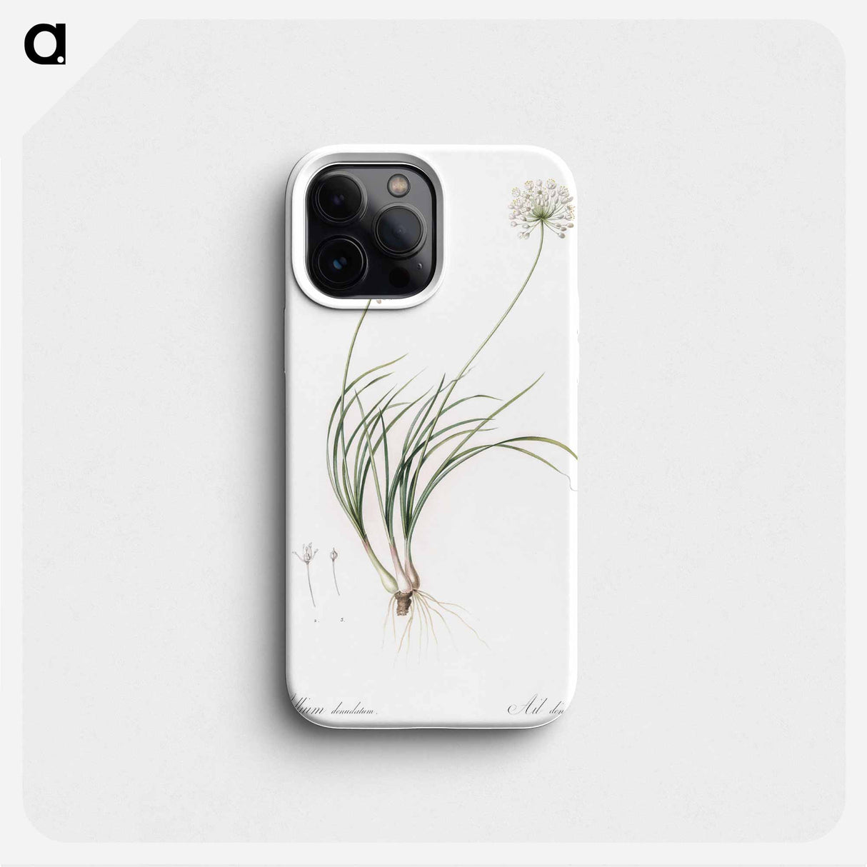 Allium denudatum illustration - Pierre Joseph Redouté Phone Case.