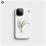 Allium denudatum illustration - ピエール ジョゼフ ルドゥーテ Phone Case.