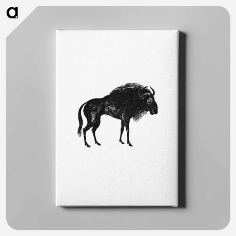アートパネル-Wildebeest
 - 大英図書館 Canvas.