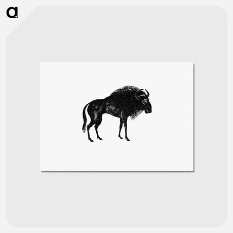 アートポストカード-Wildebeest
 - 大英図書館 Postcard.